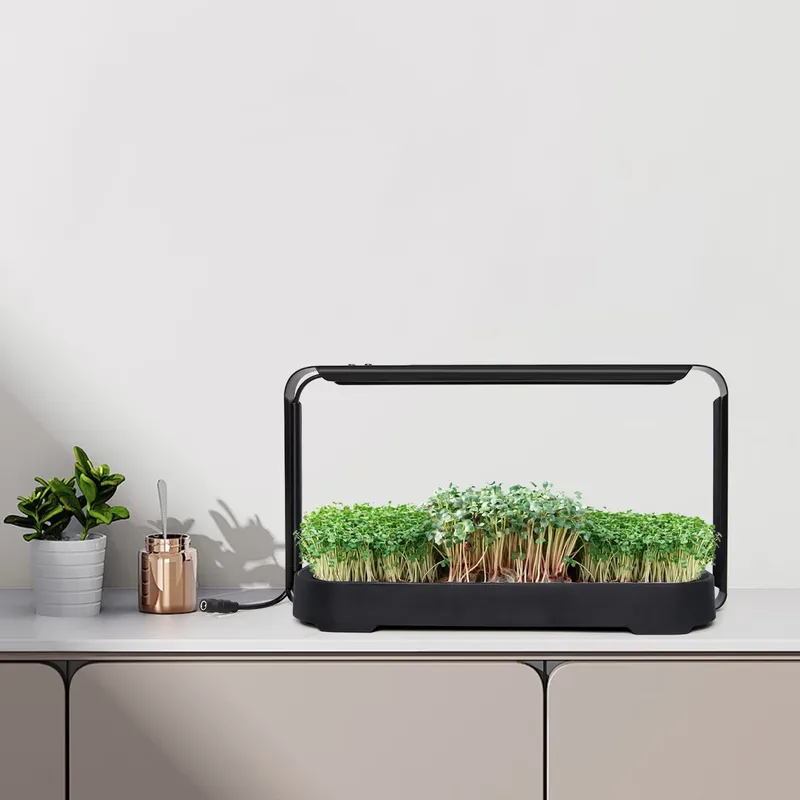 Self Watering Planter - Система для выращивания микрозелени с автополивом