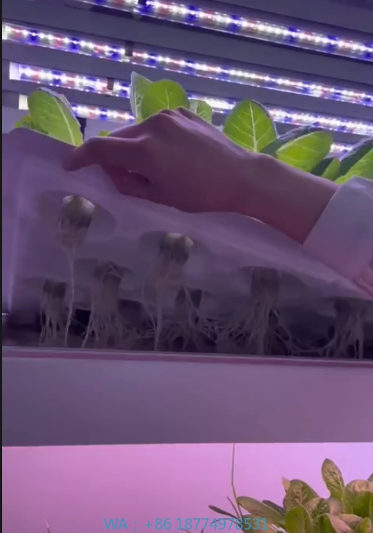 Hydroponic Tower - f Теплица Сельскохозяйственное оборудование для выращивания