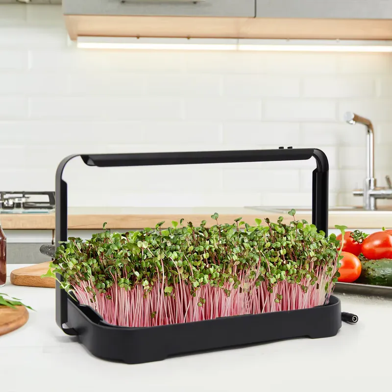 Indoor Garden Kit - Гидропонный лоток для выращивания микрозелени в