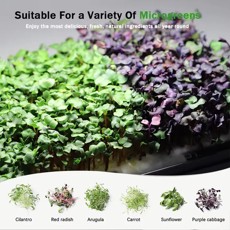 Система для выращивания микроз – обзор и цена Self Watering Planter