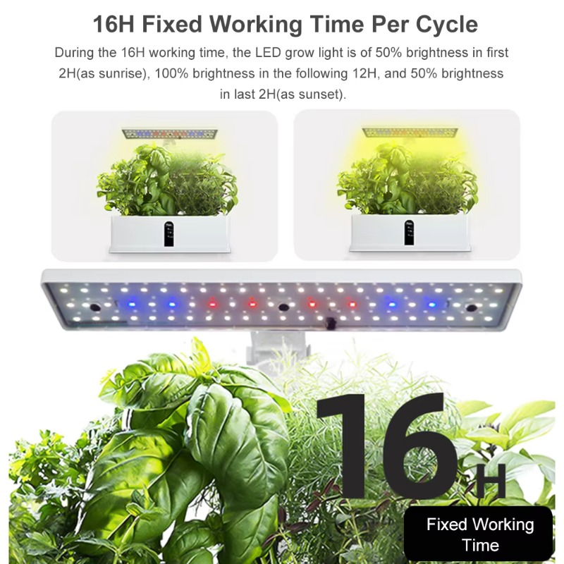 9-секционная умная гидропонная – обзор и цена Hydroponic Grow Pod