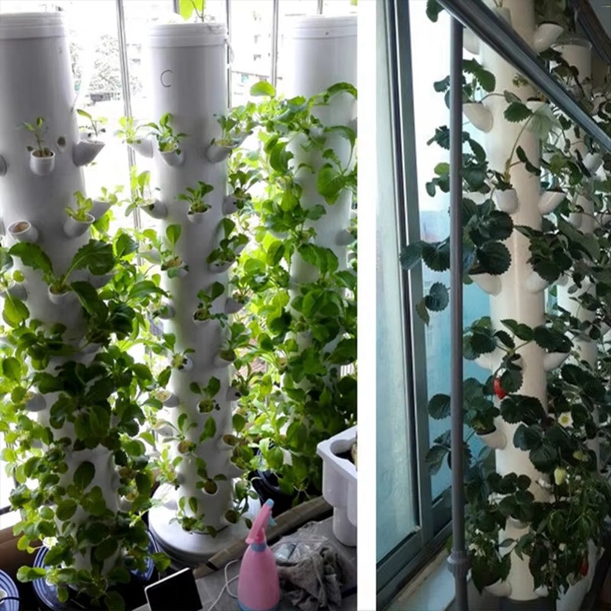 Вертикальная гидропонная башня – обзор и цена Hydroponic Tower