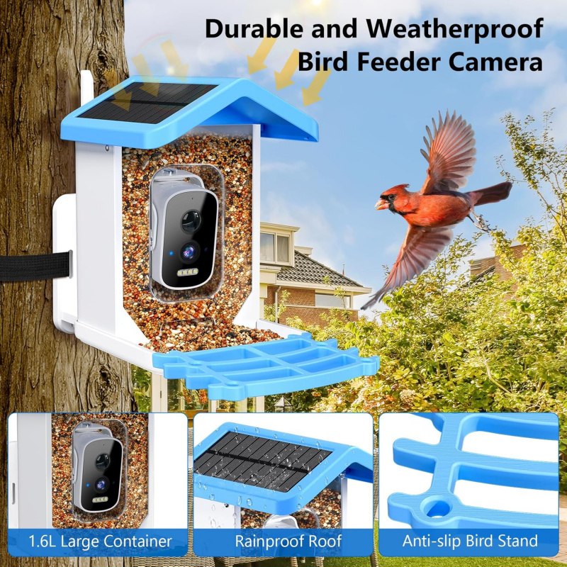 Умная кормушка для птиц с Wi-F – обзор и цена Garden Camera