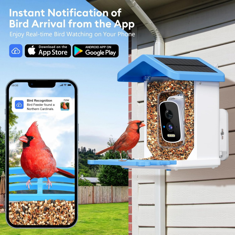 Умная кормушка для птиц с Wi-F – обзор и цена Garden Camera