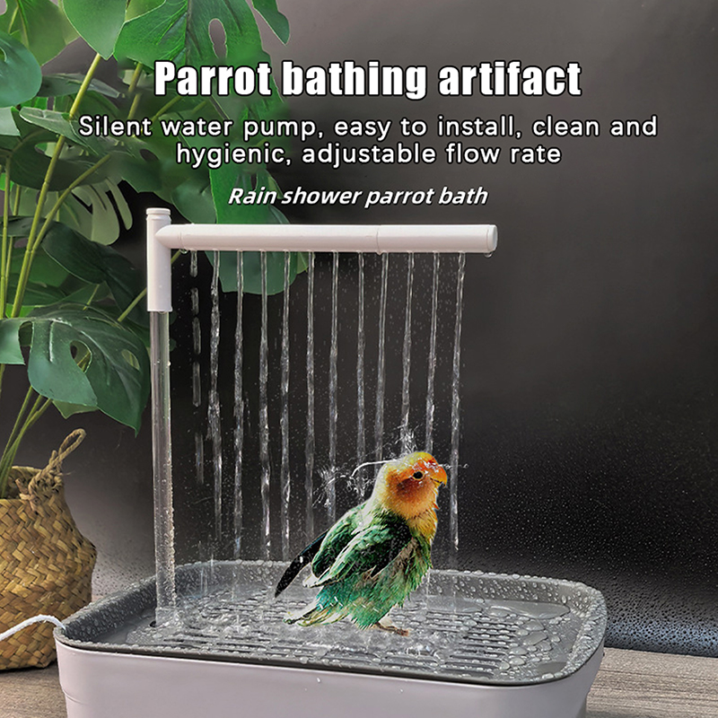 Новинка! Распродажа 2026: Авто – обзор и цена Automatic Watering