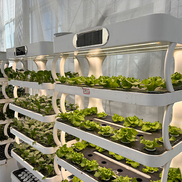 Интеллектуальная вертикальная  – обзор и цена Grow Light Led