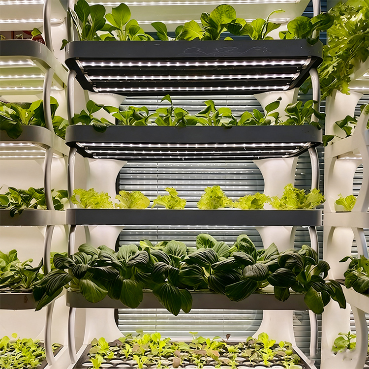 Интеллектуальная вертикальная  – обзор и цена Grow Light Led